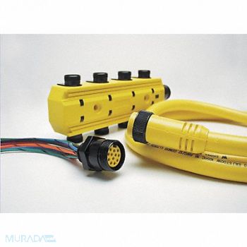 BRAD HARRISON Cordset 7 Pin Receptacle Female, 2ENU8