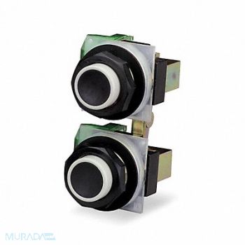 SQUARE D Pendant Pushbutton 30mm Maintained, 2ER62