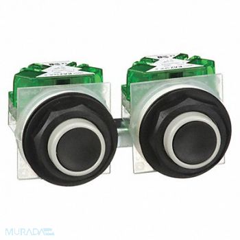 SQUARE D Pendant Pushbutton 30mm Momentary, 2ER60
