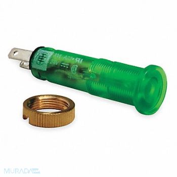 SCHNEIDER ELECTRIC Flush Indicator Light 24VDC Green, 2EW52