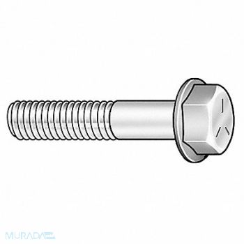 GRAINGER APPROVED Flange Bolts Fastener L 2 in PK10, 2FE39