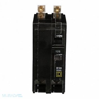 SQUARE D Circuit Breaker 125A Bolt On 120/240V 2P, 2GNG8
