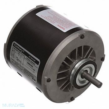 CENTURY Evaporative Cooler Motor 115V CCWLE Ball, 2HTK3