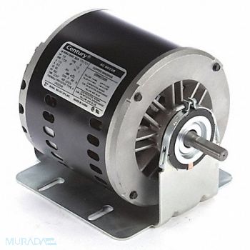 CENTURY Evaporative Cooler Motor 115V REV Ball, 2HTK4