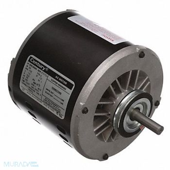 CENTURY Evaporative Cooler Motor 115V Ball CCWLE, 2HTL2