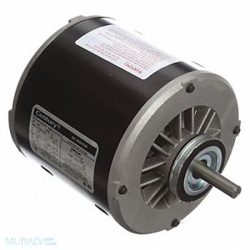 CENTURY Evaporative Cooler Motor 3/4 1/4 HP, 2HTL5