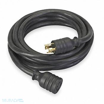 RELIANCE Generator Power Cord 20 Ft, 2KEP8