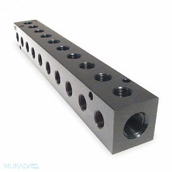 PNEUMADYNE INC Manifold BLK Alum 10Outlets 9.13 L, 2KHD3