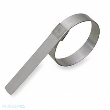 BAND-IT Band Clamp 5/8 W 2 1/4 Max OD PK10, 2LPG2