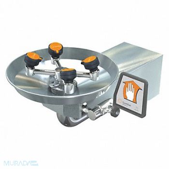 GUARDIAN EQUIPMENT ADA Eye/Face Wash Station Wall SS 15 W, 2LVL7
