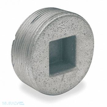 HUBBELL KILLARK Blank Plugs Steel Trade Size 2in, 2NE19