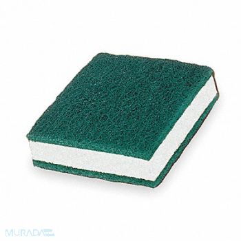 TOUGH GUY Soap Pad 3 1/2 in L Green/White PK5, 2NTJ5