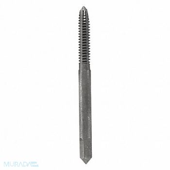 BOSCH Tap Straight Flute #10-24 Plug, 2NWK7