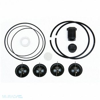 FILL-RITE Fuel Transfer Pump Repair Kit, 2RE15