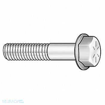 GRAINGER APPROVED Flange Bolts Fastener L 3 in PK15, 2TJ97