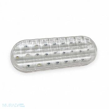 GROTE Back Up Lamp Oval Clear, 2VPF5