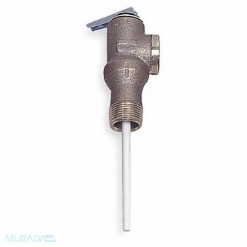 WATTS T and P Relief Valve 3/4 in Outlet, 2XE96