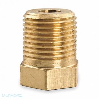 WATTS Adaptor 1/2 NPT x 3/8-16 Brass, 2ZDP3