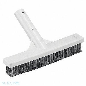 GRAINGER APPROVED Algae Brush SS 18 In L, 2ZTY4