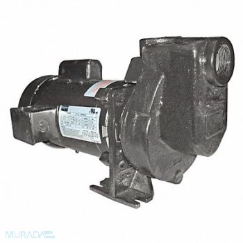 DAYTON Self Priming Pump 1/2 HP Cast Iron, 5WXU5