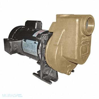 DAYTON Self Priming Pump 1/2 HP Bronze, 5WXU7