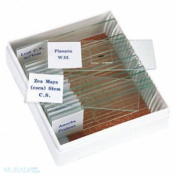 PREMIERE Slide Set Prepared Biology, 308R01