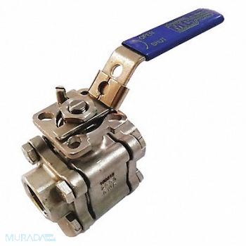 GRAINGER APPROVED CF8M SS Ball Valve FNPT 2, 30C484