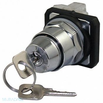 DAYTON Non-Illum Selector Switch Keyed Chrome, 30G317