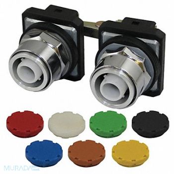 DAYTON Push Button 30mm Maintained 7Color, 30G344