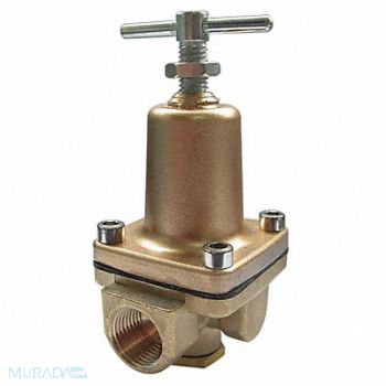 GRAINGER APPROVED Pressure Regulator Brass 300 psi, 30PV02