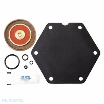 WATTS Relief Valve Repair Kit, 30UK42