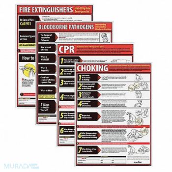 COMPLYRIGHT Poster Kit Eng Fire Ext/CPR/BBP/Choking, 30ZE07
