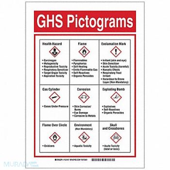 BRADY GHS Sign 14in. H x 10in. W Fiberglass, 31DJ68