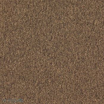 GRAINGER APPROVED Carpet Tile 19-11/16in. L Coffee PK20, 31HL69