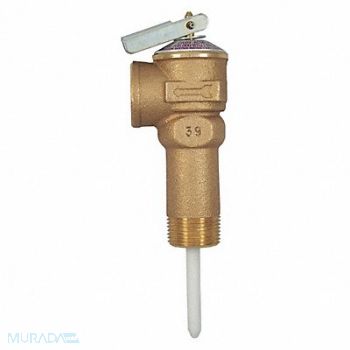 CASH ACME T and P Relief Valve 6-1/2inHx1-15/32inW, 31LC69