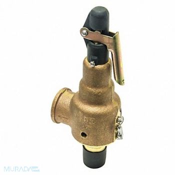 KUNKLE VALVE Safety Relief Valve 3/4in.x1in. 30 psi, 31LD14