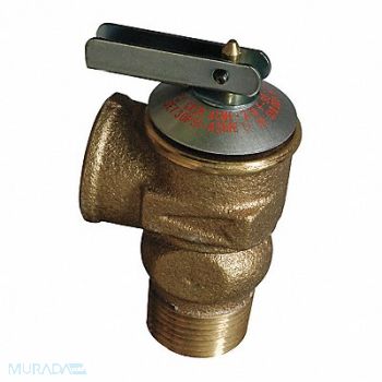 CASH ACME Safety Relief Valve Brass 3/4in. 30 psi, 31LH30