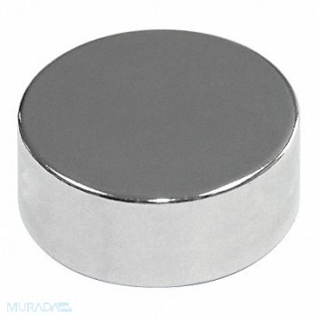 MAG-MATE Disc Magnet Neodymium 1/2 in., 31LU55