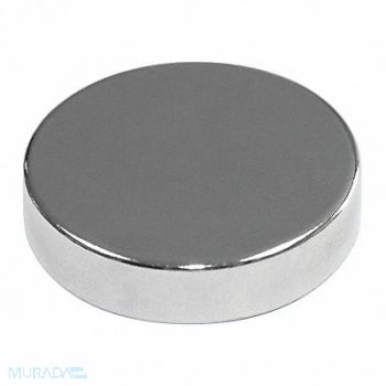 MAG-MATE Disc Magnet Neodymium 1/4 in., 31LU57