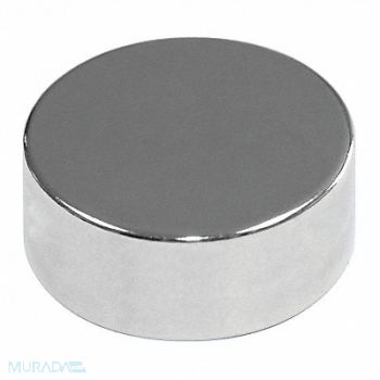 MAG-MATE Disc Magnet Neodymium 3/8 in., 31LU58