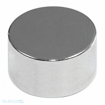 MAG-MATE Disc Magnet Neodymium 1/2 in., 31LU59