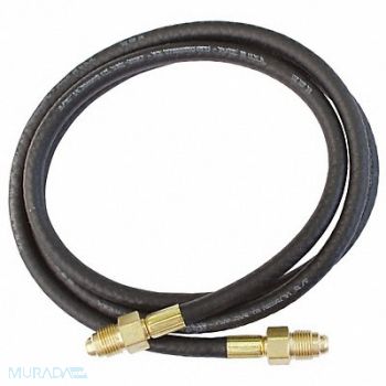 MILLER ELECTRIC Gas Hose 5 ft., 31MJ91