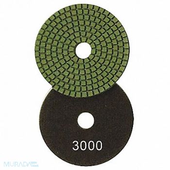 DIAMOND VANTAGE Polishing Pad 4 in Dia 800 Grit, 31NE49