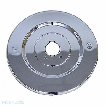 KISSLER Face Plate Moen Plastic, 31XJ06