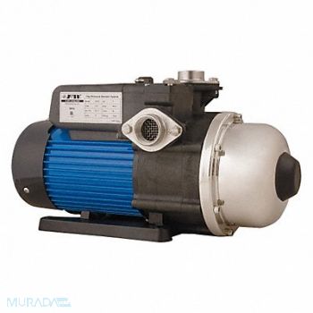 FLINT WALLING Booster Pump 1HP 1 Phase 115V AC, 32JA74