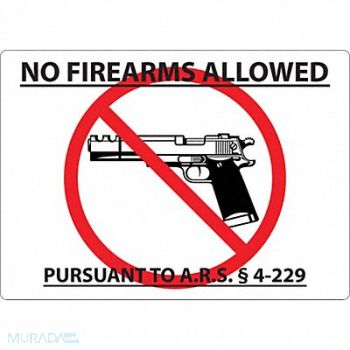 ZING Arizona Concealed Carry Sign 10x14in, 32KJ46