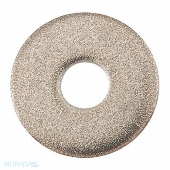 TENNANT Washer Flat 0.32b 1.00d .12 SS, 349VC3