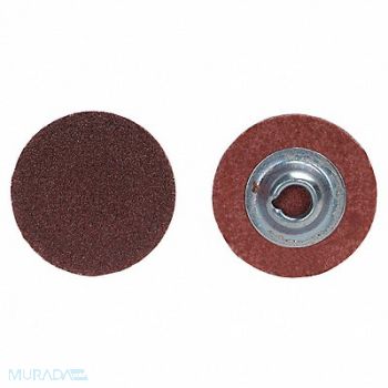 NORTON Quick Change Disc 1-1/2inDia Coarse 36G, 34CD61