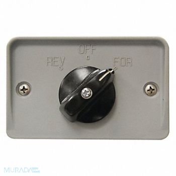 WESTWARD Rev Switch, 34DA46