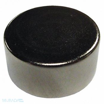 STORCH PRODUCTS Disc Magnet Neodymium 34 lb Pull, 35KC25